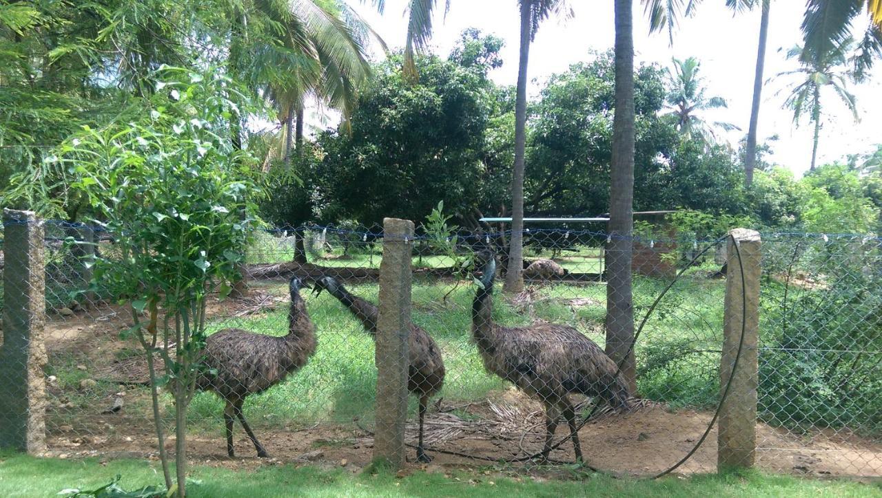 Mango Village Farm House Nelliyampathy エクステリア 写真